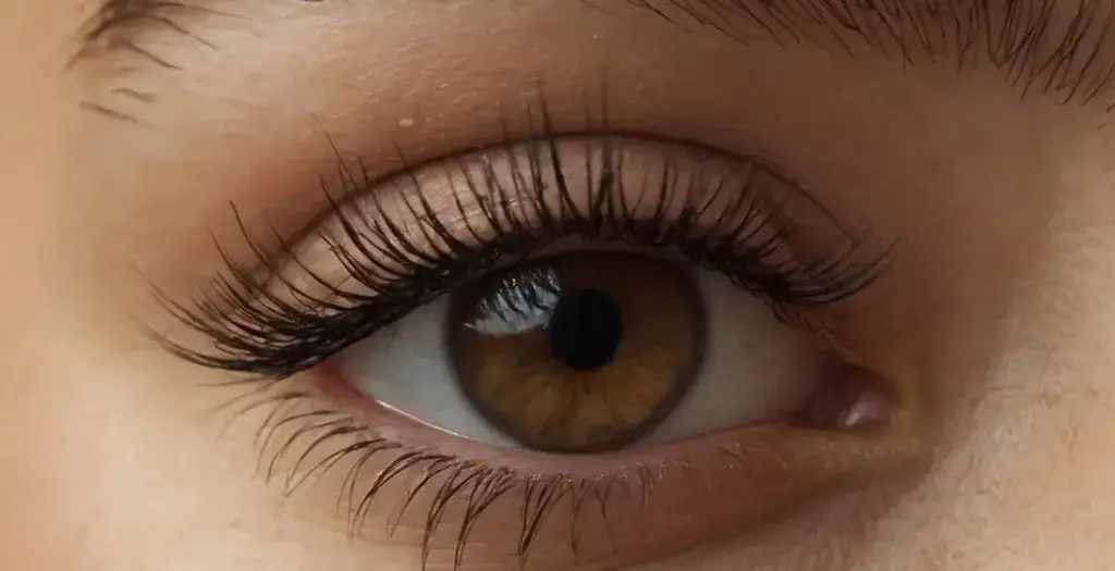 Wimpernlifting in Hamburg