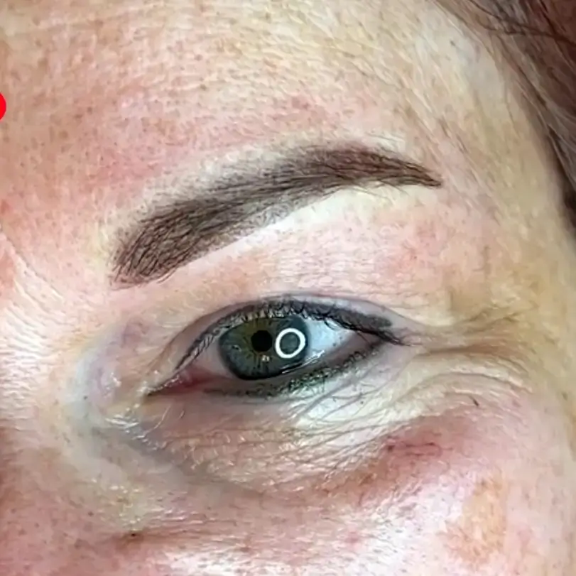 ombre powder brows nachher