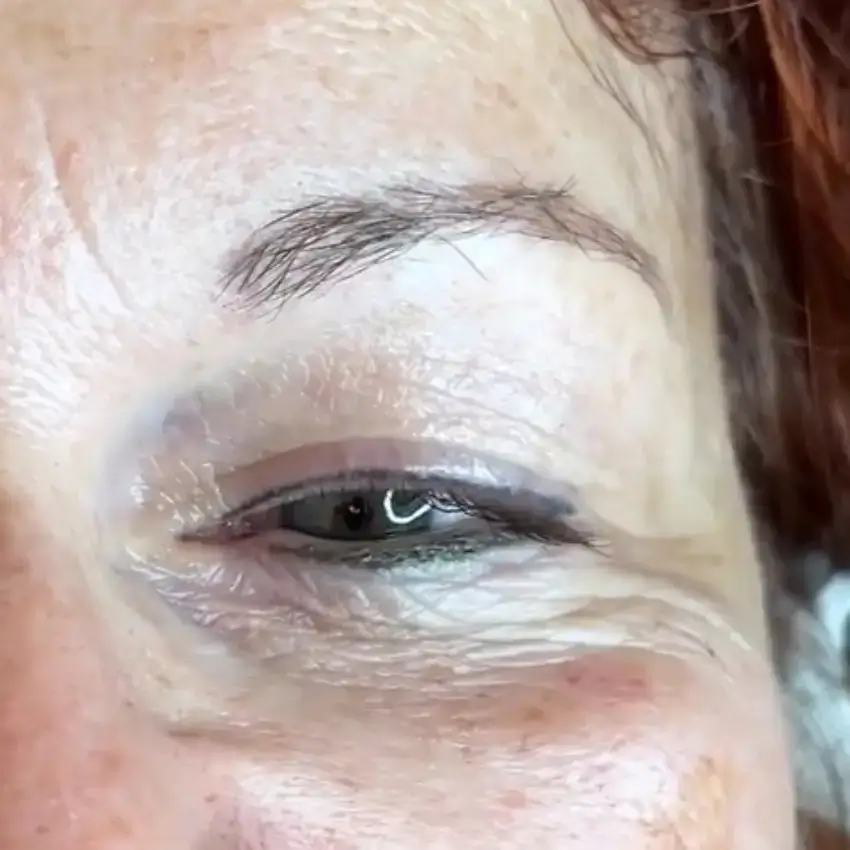 ombre powder brows vorher