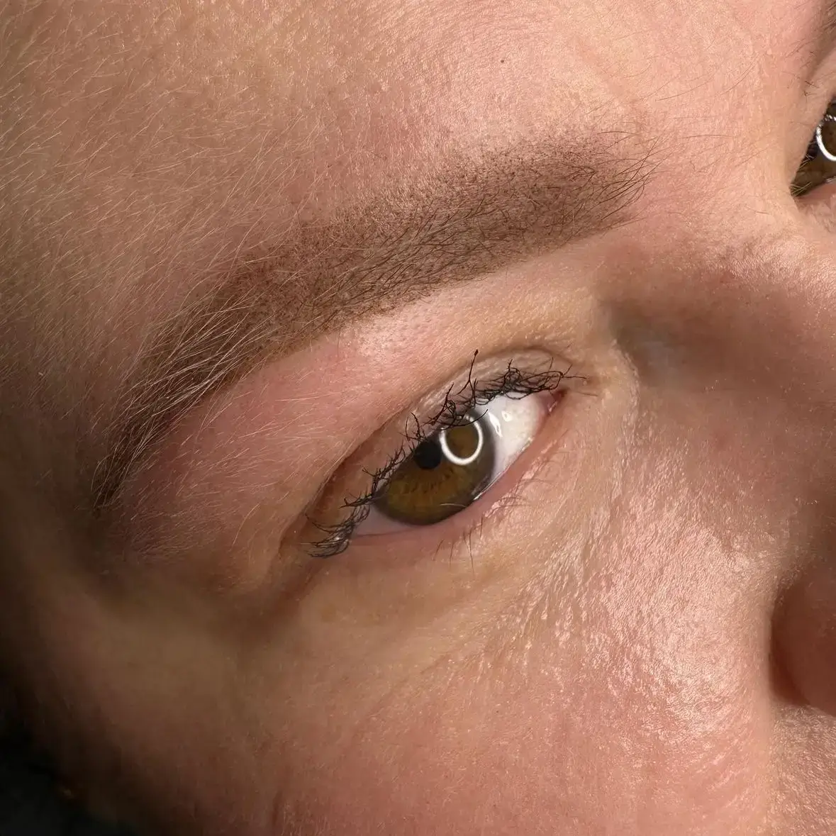 powder brows heilung